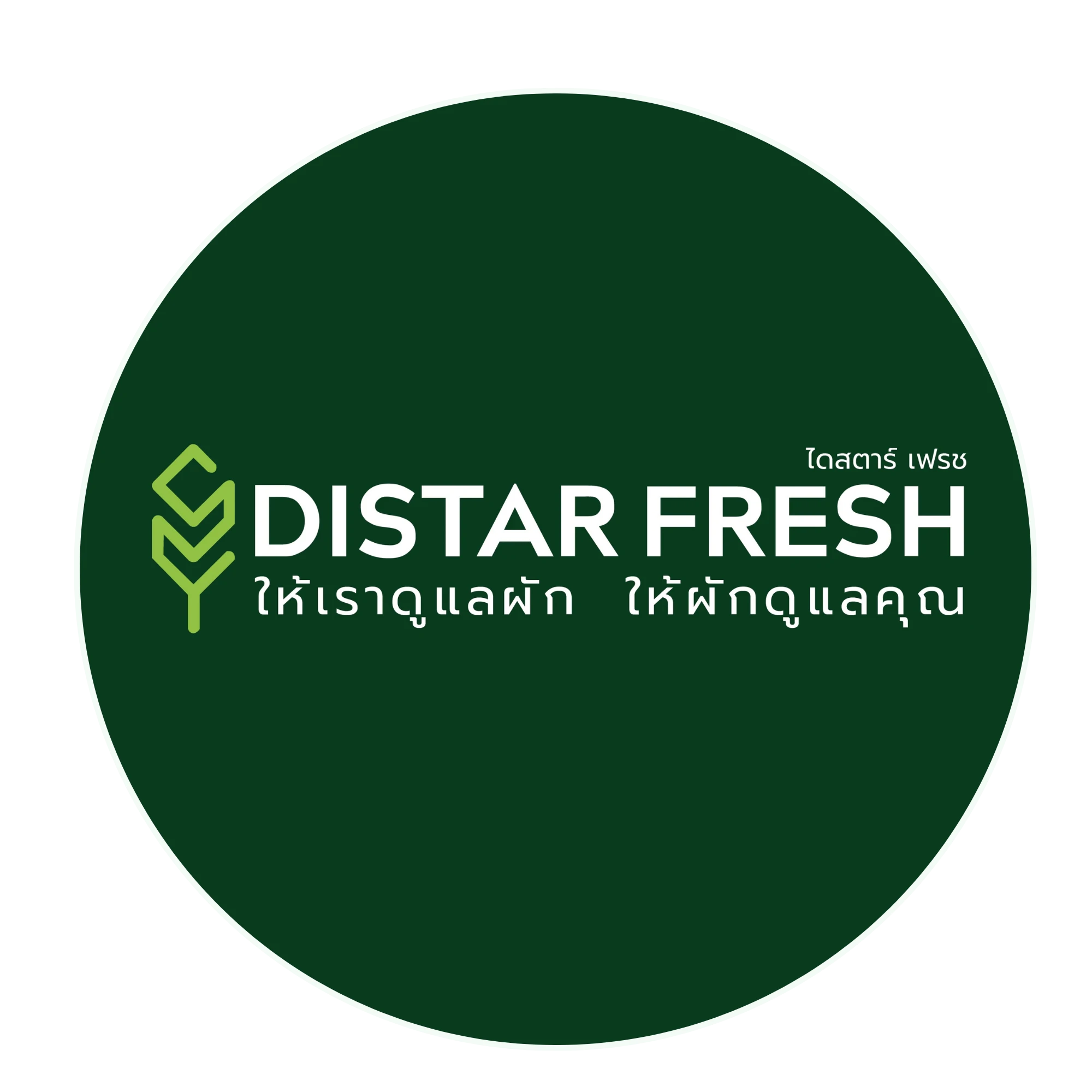 ไดสตาร์ เฟรช