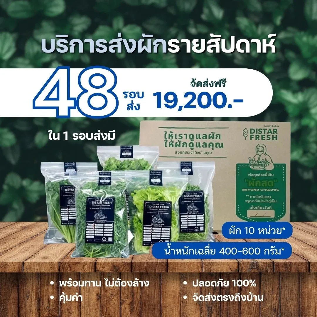 (48 รอบส่ง) ผักสดปลอดสารพิษ พร้อมทานไม่ต้องล้าง เลือกผักได้ - DISTAR FRESH
