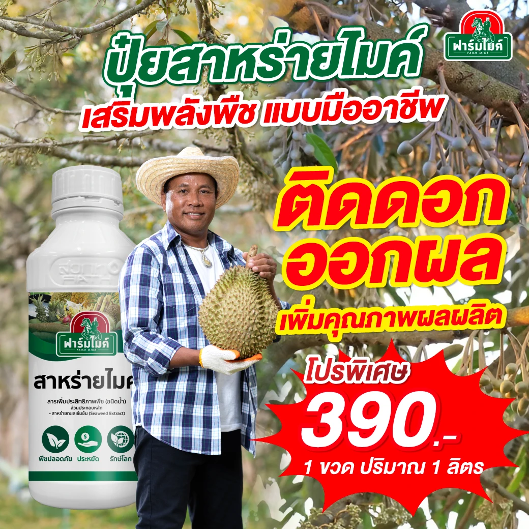 สาหร่ายน้ำไมค์ ปุ๋ยอินทรีย์ ของไมค์ ภิรมย์พร