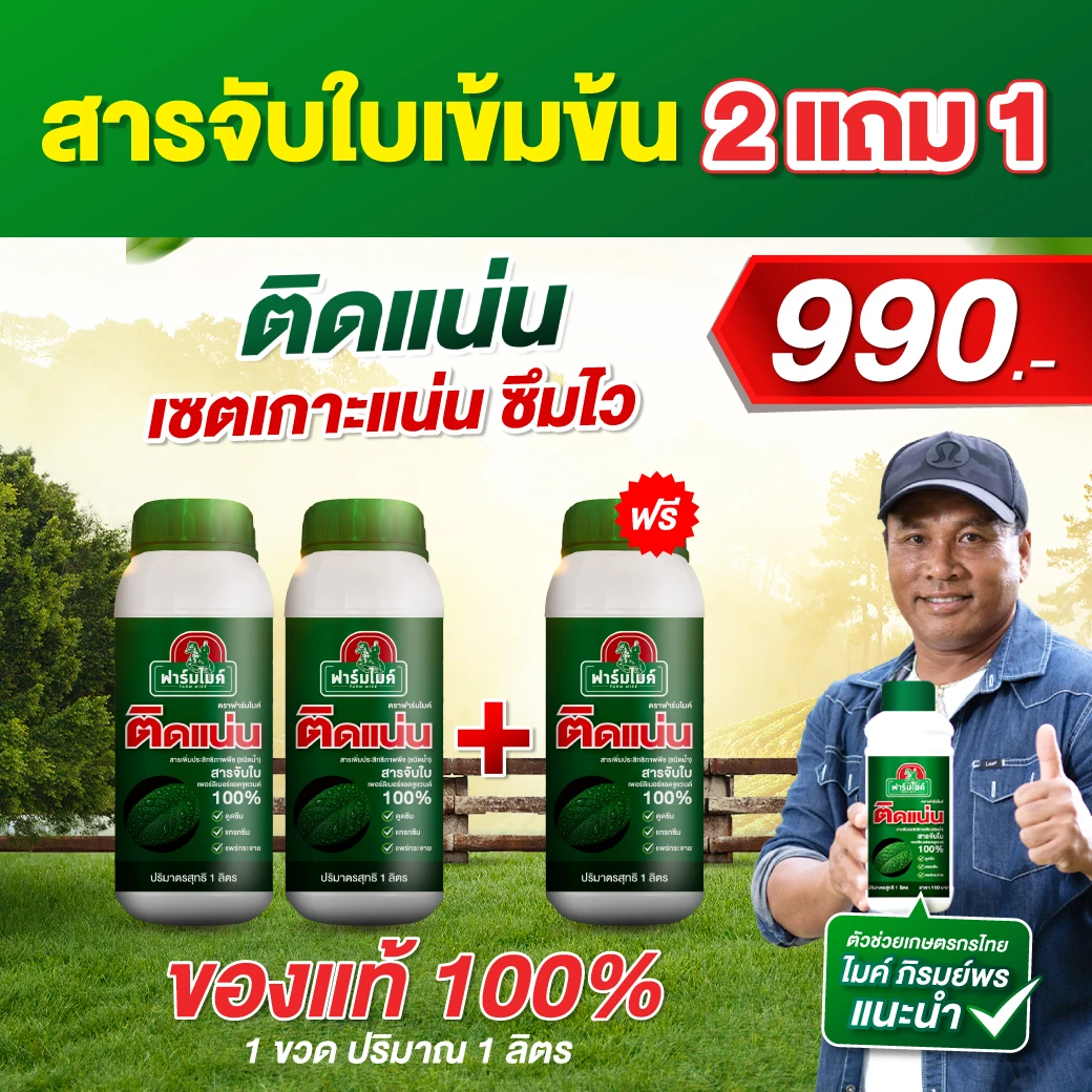 ติดแน่น สารจับใบคุณภาพสูง 1 ขวด จากพี่ไมค์ ภิรมย์พร เพิ่มการดูดซึมของปุ๋ย ฉีดพ่นแล้ว ติดทนนาน ซึมไว โปร 2 ขวดเเถม 1 ขวด