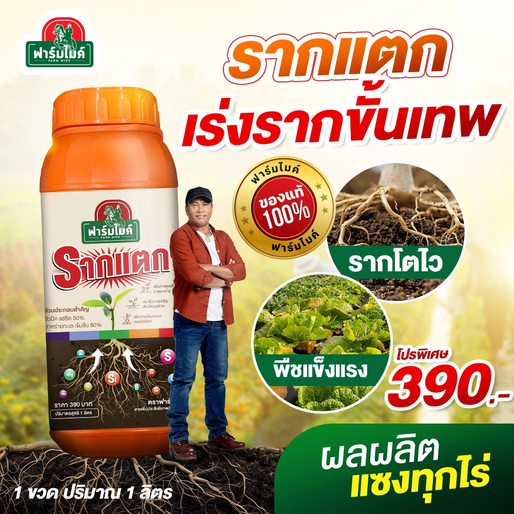 รากแตก 1 ขวด ของพี่ไมค์ ภิรมย์พร ตัวช่วยเร่งรากที่เกษตรกรไว้วางใจ 1 ขวด