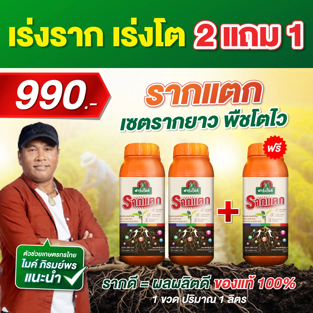 รากแตก โปร 2 ขวด เเถม 1 ขวด ของพี่ไมค์ ภิรมย์พร ตัวช่วยเร่งรากที่เกษตรกรไว้วางใจ