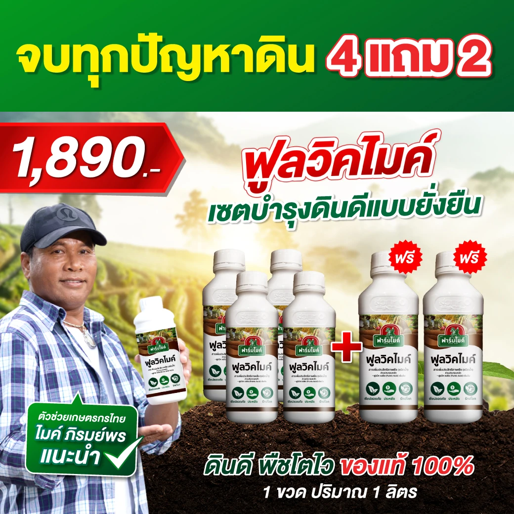 ฟูลวิคไมค์ 4 ขวด เเถม 2 ขวด ไมค์ ภิรมย์พร แนะนำ ดินแน่น ดินพัง รากไม่เดิน ไม่ดูดซึม พืชไม่กินปุ๋ย แก้ได้ที่ต้นตอ! ตัวช่วยปรับปรุงดินที่เกษตรกรไว้วางใจ