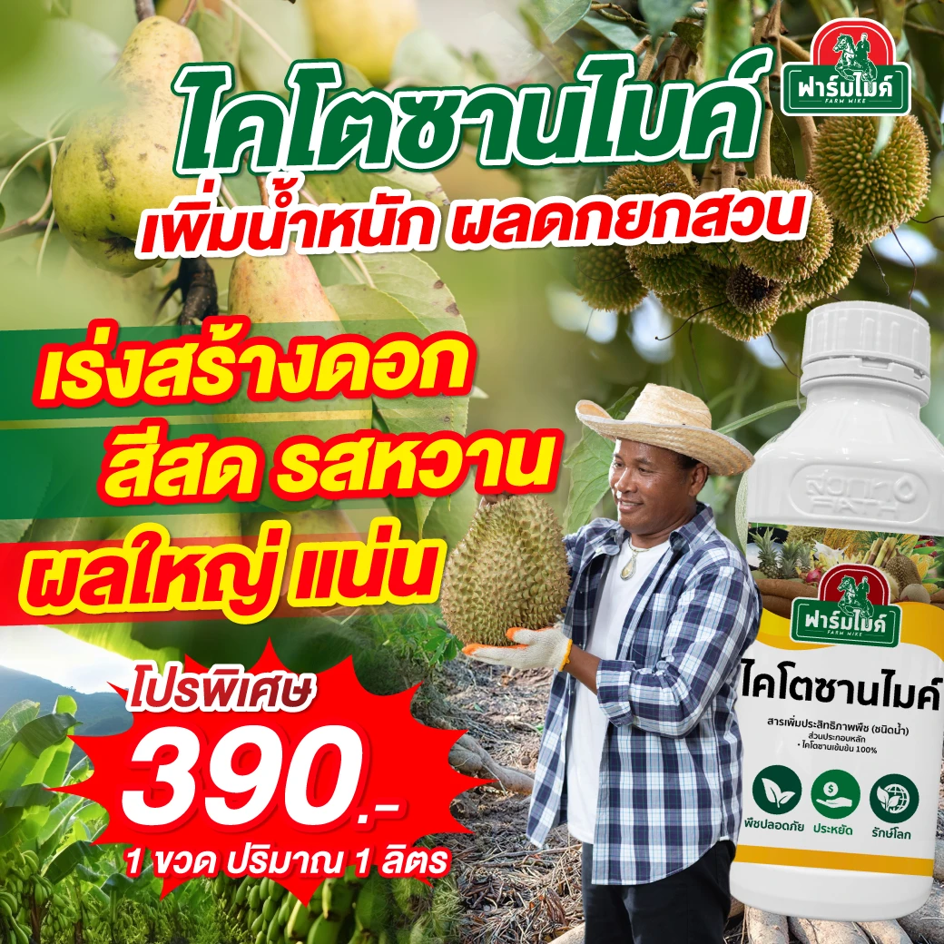 ไคโตซานไมค์ 1 ขวด ไมค์ ภิรมย์พร แนะนำ ผลดก ยกสวน ได้น้ำหนัก สีสดรสหวาน เร่งโต  ตัวช่วยเพิ่มคุณภาพผลผลิตที่เกษตรกรไว้วางใจ