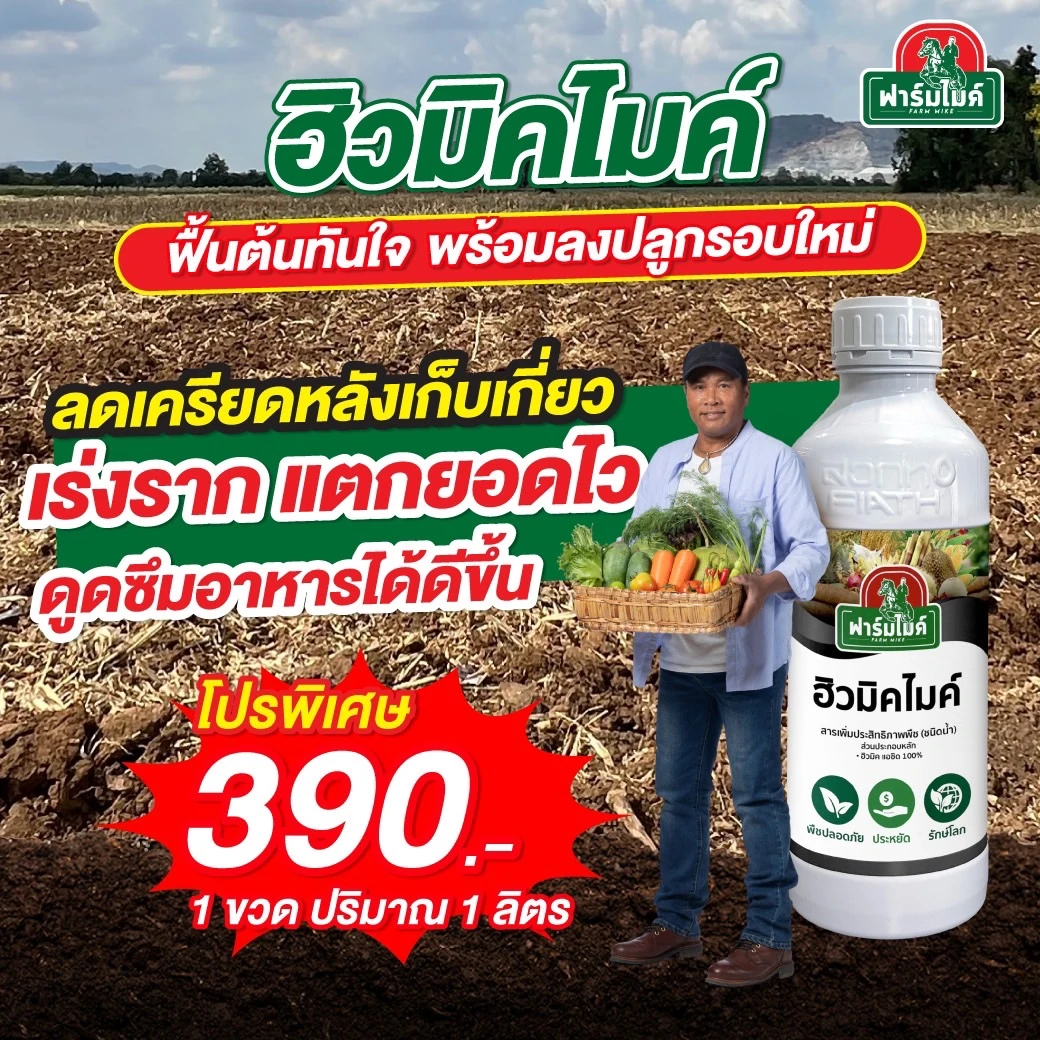 ฮิวมิคไมค์ 1 ขวด ไมค์ ภิรมย์พร แนะนำ ฟื้นฟูพืชหลังเก็บเกี่ยวให้พร้อมสำหรับรอบถัดไป ฟื้นต้นทันใจ เร่งราก เร่งแตกยอด